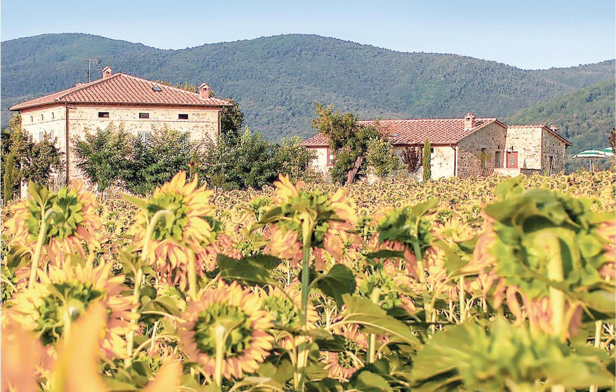 Appartamento Tulipano A Pievescola Esterno foto